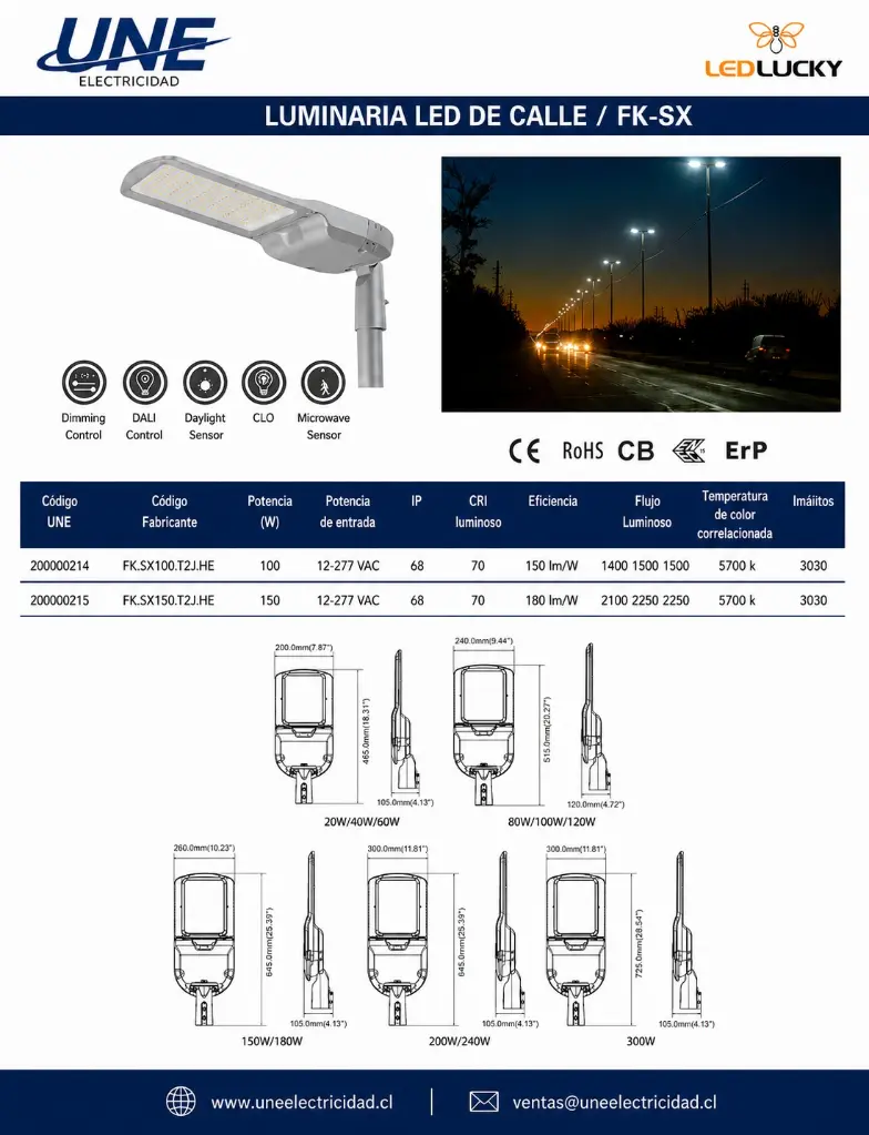 Ficha luminaria calle.webp