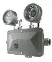 Luz de emergencia antiexplosiva OHBF8190 