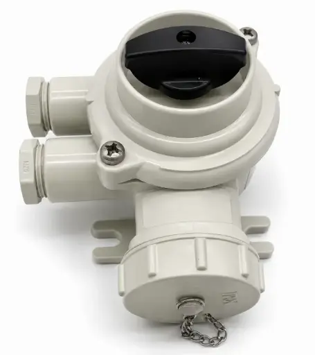 [1600001550] Enchufe y receptáculo estancos marino de Resina con interruptor 250V 10A (IMPA 792882)